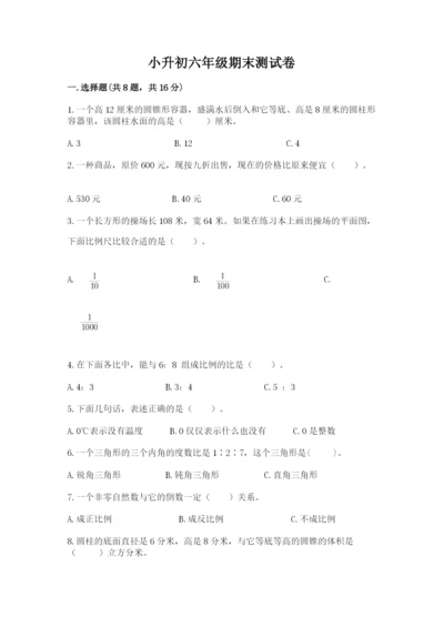 小升初六年级期末测试卷及完整答案（典优）.docx