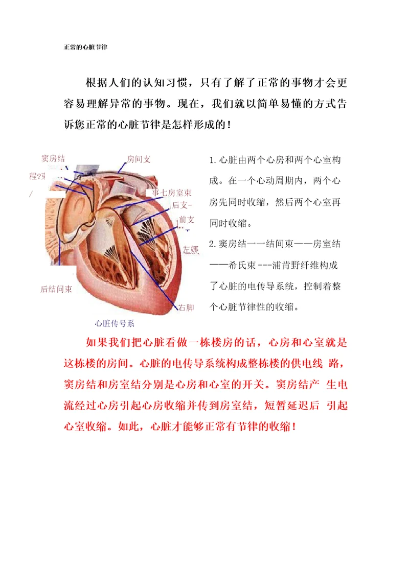 心律失常科普宣传手册