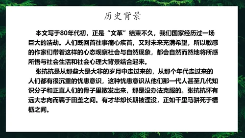 地下森林作家张抗抗作品解读PPT课件