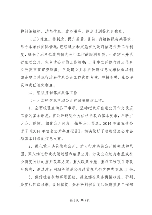 乡镇政府信息公开工作要点落实情况报告.docx