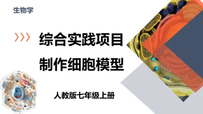 综合实践项目单元小结-【备课优选】七年级生物上学期同步精品课件（2024人教版）(共19张PPT)