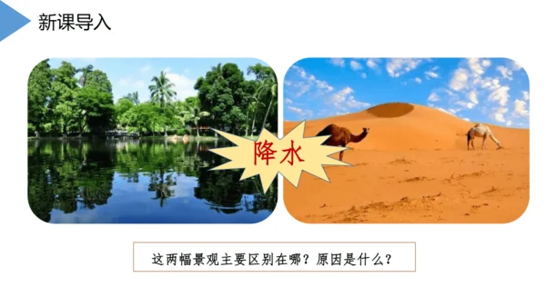 3.3 降水的变化与分布 课件(共32张PPT)2023-2024学年七年级地理上学期人教版