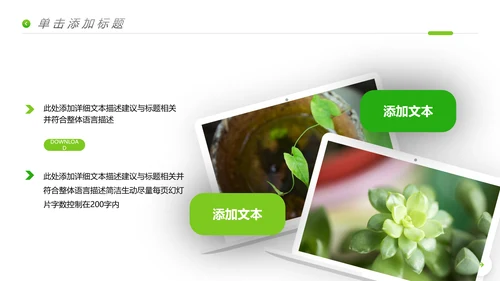 唯美绿色植物生长发芽敬畏生命PPT模板