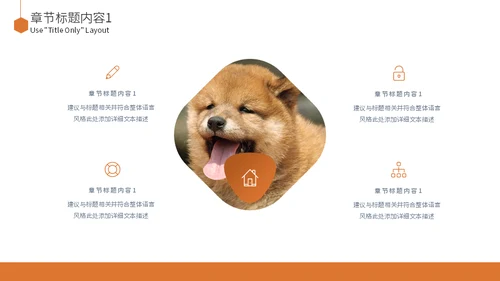 宠物乐园萌宠狗狗主题通用PPT模板
