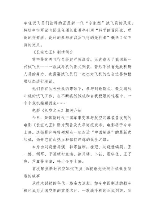 《长空之王》影片相关简介.docx