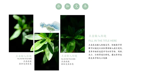 嫩绿树芽工作总结通用PPT模板
