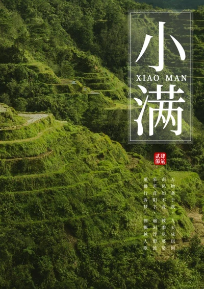 二十四节气之小满海报word模板