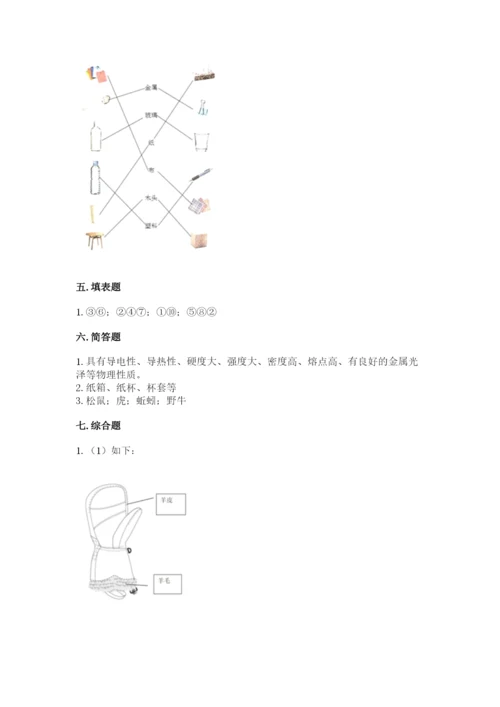 教科版二年级上册科学期末测试卷（易错题）.docx