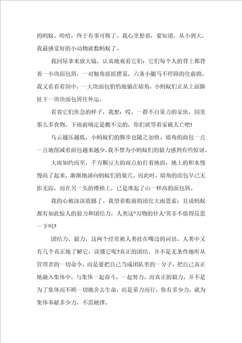 2022寻访身边的青年榜样心得体会及感悟