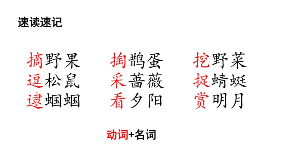 23祖先的摇篮 课件