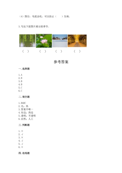 教科版二年级上册科学期末测试卷精品【典型题】.docx