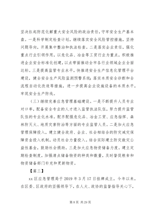 应急管理局工作计划5篇 (2).docx