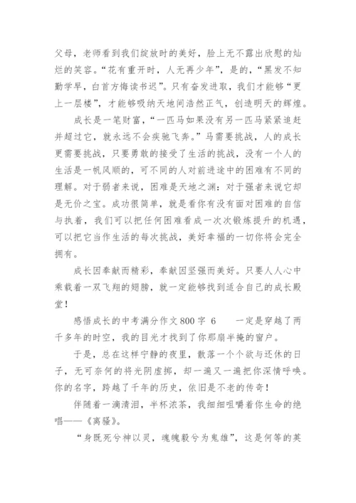 感悟成长的中考满分作文800字.docx