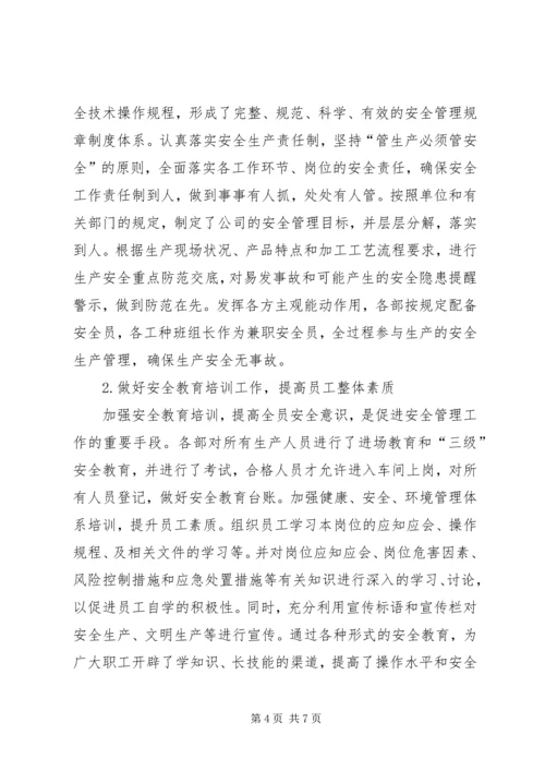 落实企业安全生产主体责任专项行动方案专题 (2).docx