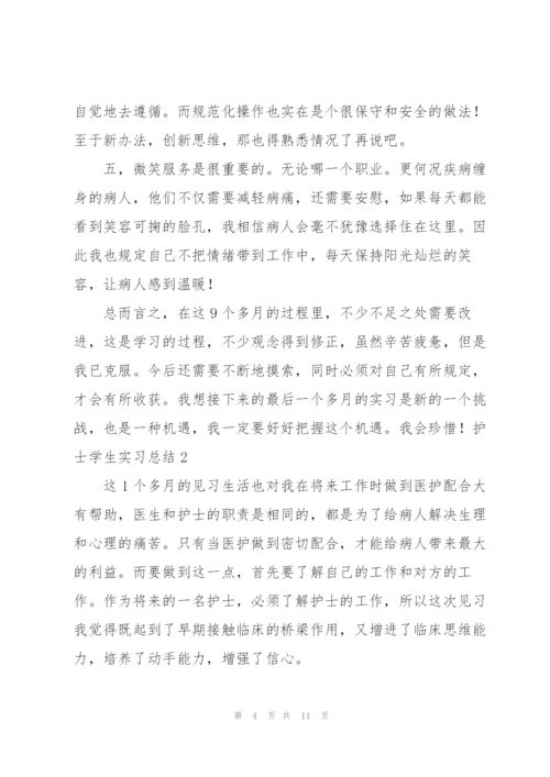 护士学生实习总结.docx