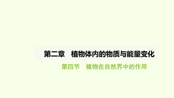 第三单元-第二章-第四节-植物在自然界中的作用课件-2024-2025学年七年级生物下学期人教版(2