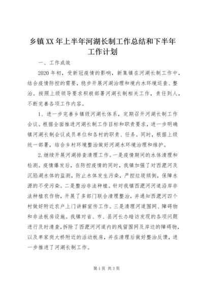 乡镇某年上半年河湖长制工作总结和下半年工作计划.docx