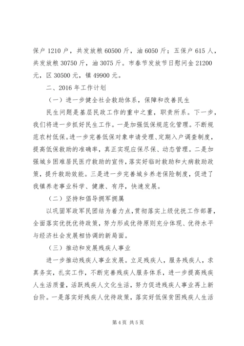 乡镇社会事务办工作总结暨工作计划.docx