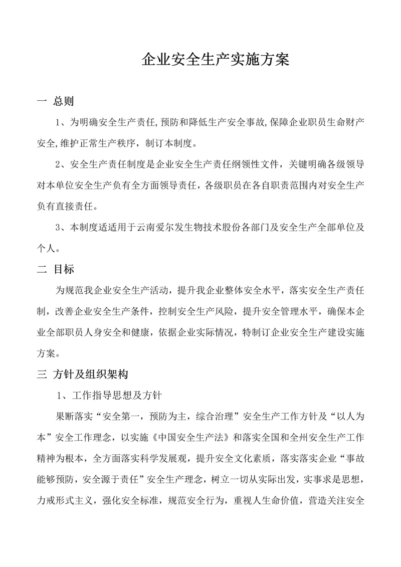 完美的公司安全生产实施专业方案.docx