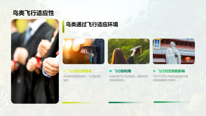 动物世界的奥秘