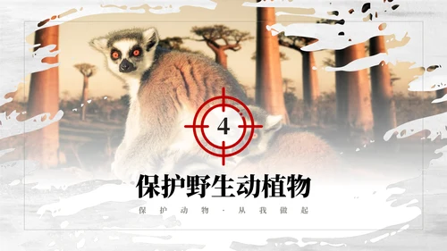 保护野生动植物大象PT模板
