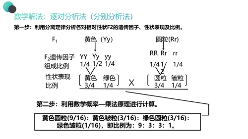 高中生物豌豆杂交实验PPT课件