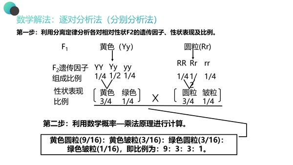 高中生物豌豆杂交实验PPT课件