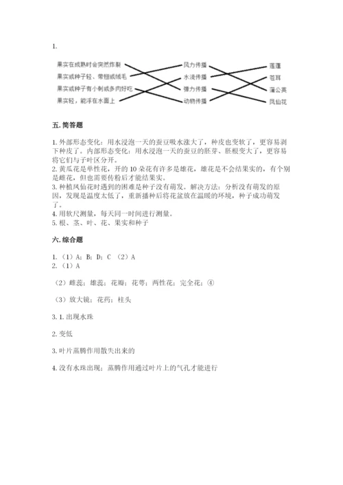 科学四年级下册第一单元植物的生长变化测试卷（能力提升）.docx