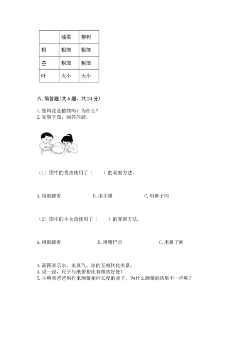 教科版小学一年级上册科学期末测试卷附完整答案（夺冠系列）.docx