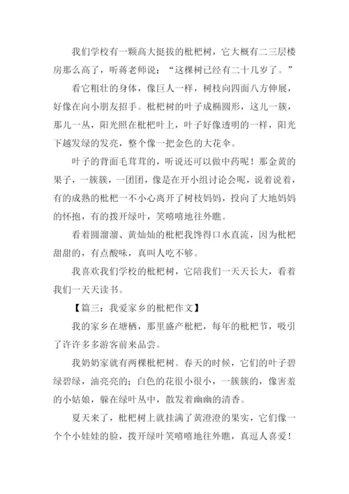 枇杷作文300字0.docx