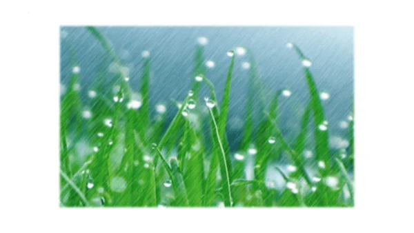 2《花的学校》   课件