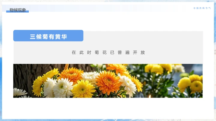 中国传统二十四节气寒露节气介绍寒露节气科普PPT