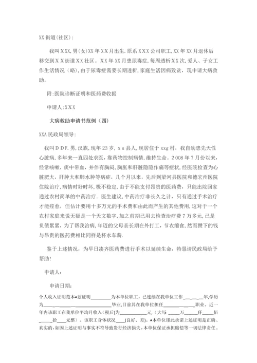 民政局大病救助申请书.docx