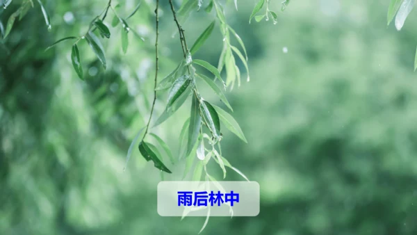 第18课 《童年的水墨画》第二课时（教学课件）