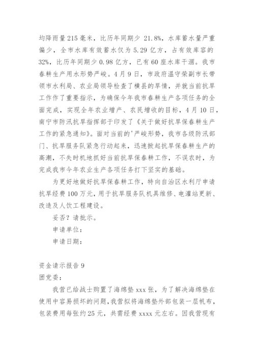 资金请示报告.docx