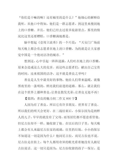 善良的魅力初中作文.docx