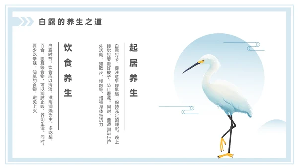 淡蓝色中国风白露节气PPT模板