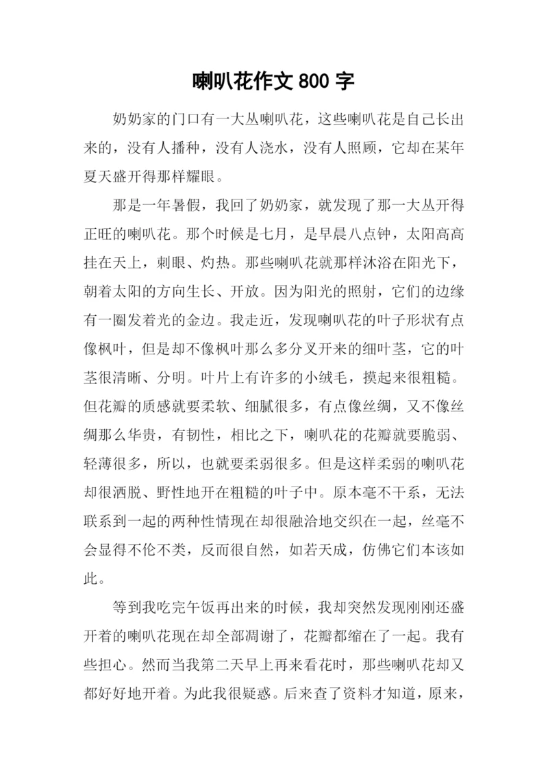 喇叭花作文800字.docx