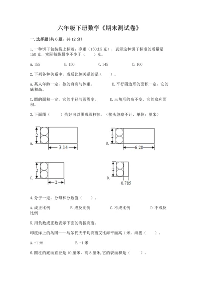 六年级下册数学《期末测试卷》精品【典优】.docx