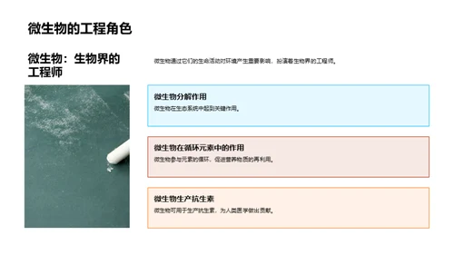 微生物的奥秘世界