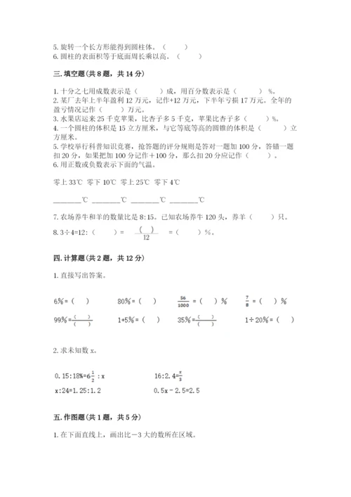 城步苗族自治县六年级下册数学期末测试卷精品.docx