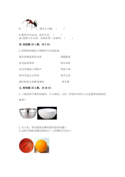 教科版一年级下册科学期末测试卷附答案【考试直接用】.docx