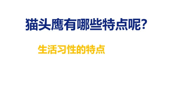《黑夜狩猎者猫头鹰》