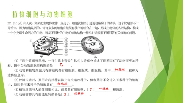 人教版七年级生物上册第一章认识生物第二章认识细胞复习课件(共23张PPT)