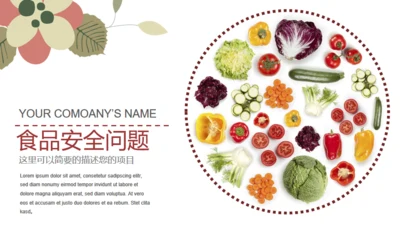 关注食品安全问题健康生活通用PPT