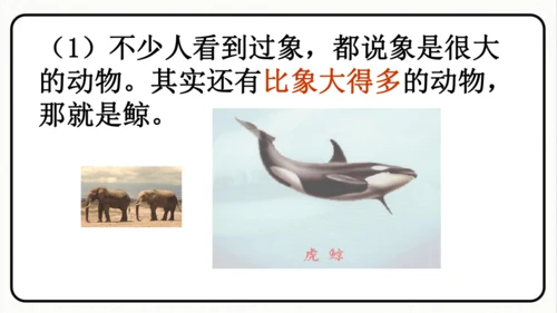 统编版语文五年级上册第五单元 习作例文《鲸》《风向袋的制作》 课件