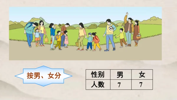 人教版 一年级下册数学第三单元 分类与整理 课件 (共24张PPT)