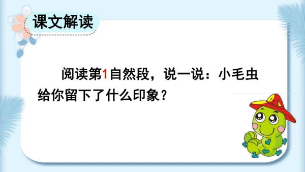 22.小毛虫（第二课时）教学课件