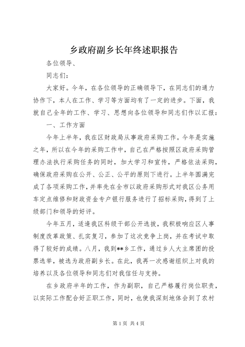 乡政府副乡长年终述职报告.docx