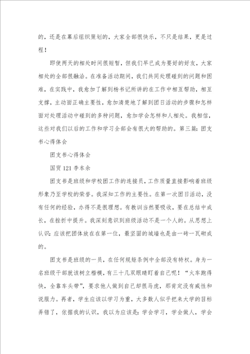 大一团支书的工作体会团支书工作体会精选多篇